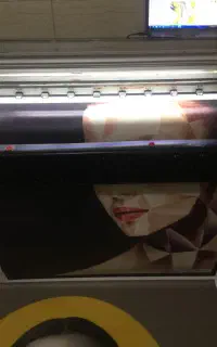 چاپ کنواس اکوسالونت