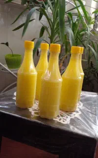 محصولات خانگی