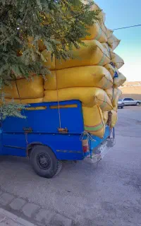 فروش کاه جو