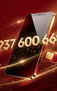 هویت شما ، فراتر از یک شماره است