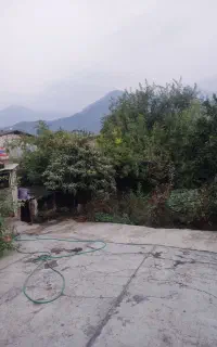 خانه