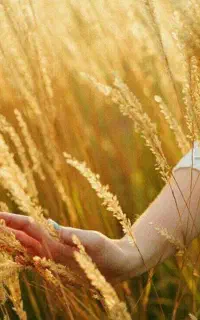 به راحتی محصولت رو چند برابر کن«کود های ارگانیک»