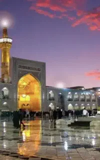 آرامش را در حرم تجربه کنید**مشهد