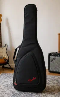 گیگ بگ Fender اصل (نو)