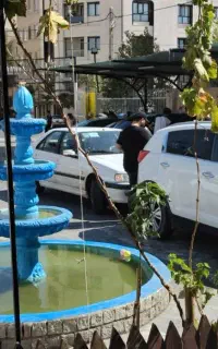 استخدام نیرو کارگر در مجموعه بزرگ مسترکارواش 33%