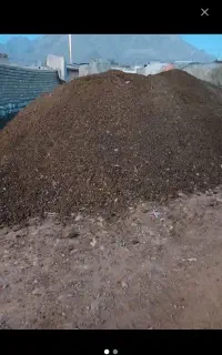کود‌‌گوسفندی