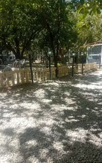 استخدام باغ رستوران