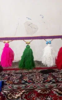 شیردنگ نو جدید باف