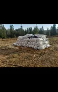 کاه لوبیا چیتی