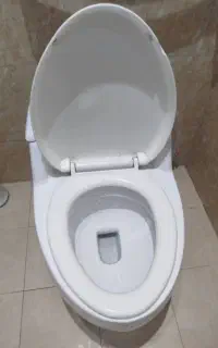 توالت فرنگی