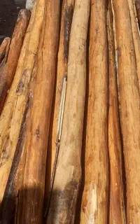 خرید و فروش انواع چوب تر و خشک وچوب ضایعاتی چنار
