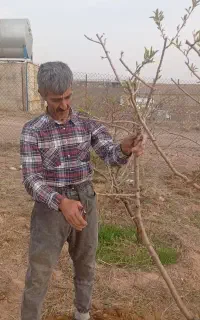 خدمات باغبانی ودرختکاری