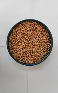 نخود