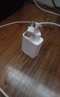 شارژر ۳۳ وات اصل