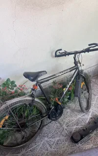 دوچرخه ۲۶