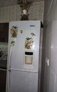 یخچال و فریزر  بوژان