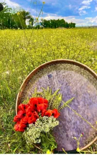 هنرهای کوبه ای