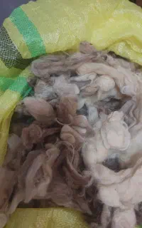 از صبح تا ۱۰ شب زنگ بزنید