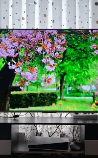 تلویزیون ۶۵ اینچ شیائومی Q2 QLED 4K در حد نو