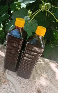 شیره توت اعلا