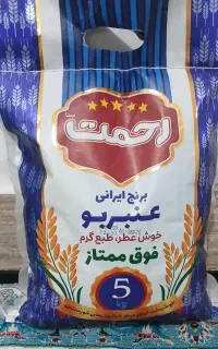 شهری به وسعت شالیزارهای ایران