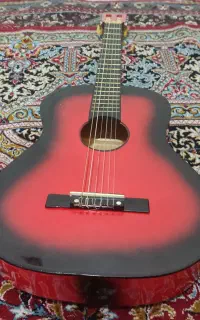 گیتار با کاور