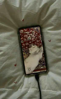 گربه پرشین معاوضه با بخور سالنی ولوازم فیشیال