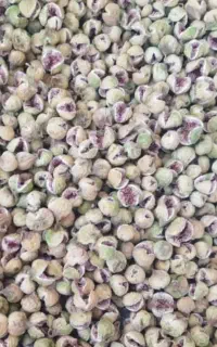 انجیر پرک لوکس و درجه یک