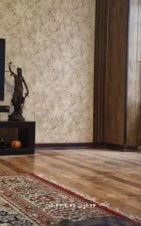 به نظافتچی خانم نیازمندم