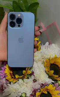 13پرو 256 آس ریجستر شده