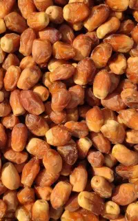 زاهدی