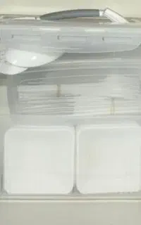 سرویس غذا خوری مسافرتی لیمون