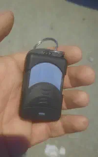 پیدا شده