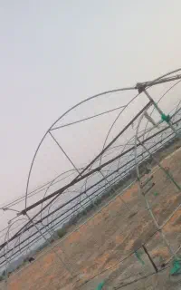 میله گلخانه