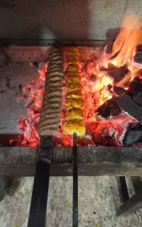 کباب پز حرفه ای