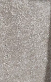 پالاز موکت
