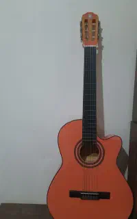 گیتار کاملا سالم و در حد نو