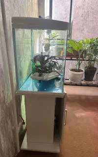 اکواریوم