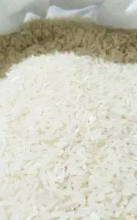 برنج فجر درجه ۱