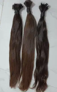 طالب مو