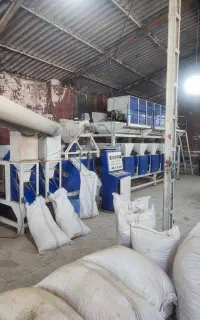 پسته شکن (کالک و روآبی)