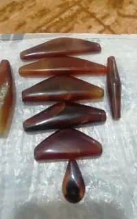 مهره کمانی سلیمانی سایز بزرگ وکمیاب