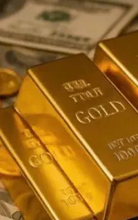 فروش سیمکارت تهران کد ۸
