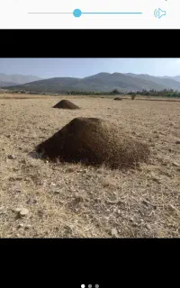 فروش کود حیوانی گاو و گوسفندی