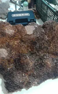 سنگ صخره ای زینتی برای ساخت جزیره