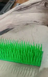 چوب خوشگل برای ماهی