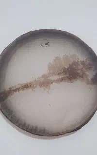 دف حبیبی پوست