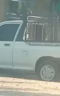 باربری