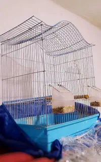 قفس پرنده