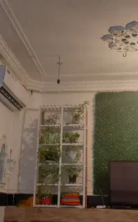 استند و گل